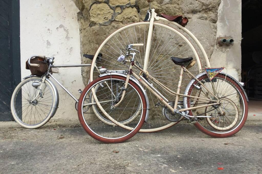 Apartamento Tour De France Historique Et Chateaux De Loire Orléans Exterior foto