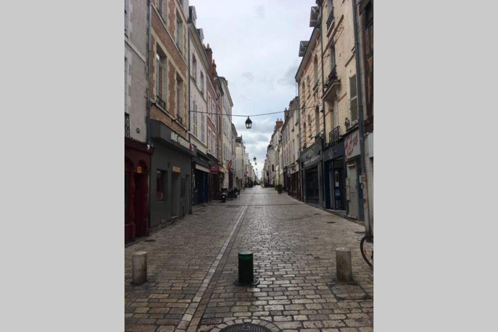 Apartamento Tour De France Historique Et Chateaux De Loire Orléans Exterior foto